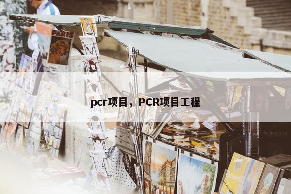 pcr项目，PCR项目工程