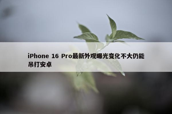 iPhone 16 Pro最新外观曝光变化不大仍能吊打安卓