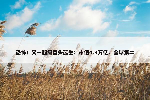 恐怖！又一超级巨头诞生：市值4.3万亿，全球第二