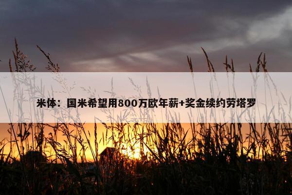 米体：国米希望用800万欧年薪+奖金续约劳塔罗