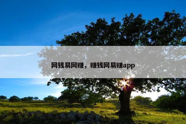 网钱易网赚，赚钱网易赚app