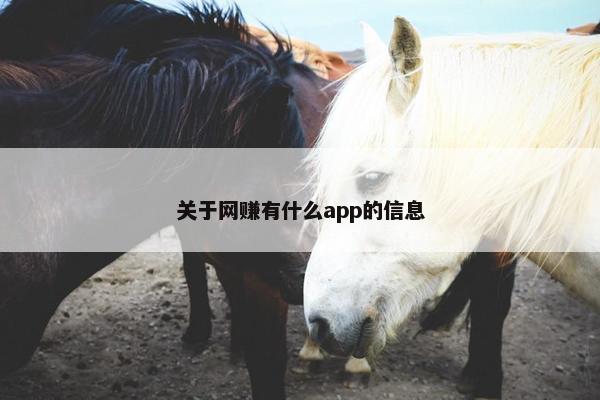 关于网赚有什么app的信息