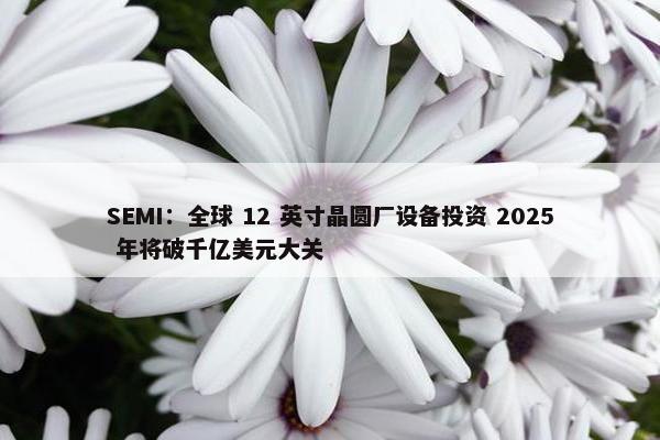 SEMI：全球 12 英寸晶圆厂设备投资 2025 年将破千亿美元大关