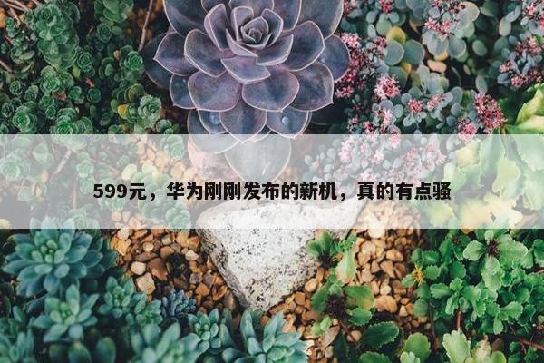 599元，华为刚刚发布的新机，真的有点骚