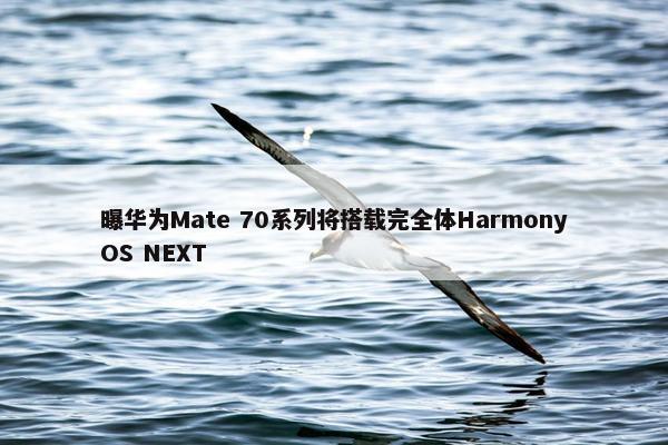 曝华为Mate 70系列将搭载完全体HarmonyOS NEXT