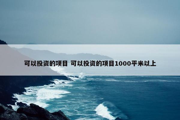 可以投资的项目 可以投资的项目1000平米以上