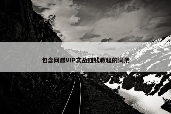 包含网赚VIP实战赚钱教程的词条