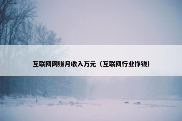 互联网网赚月收入万元（互联网行业挣钱）