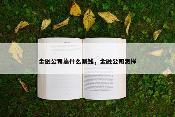 金融公司靠什么赚钱，金融公司怎样