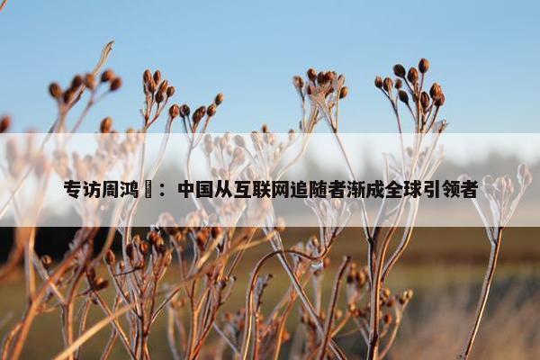 专访周鸿祎：中国从互联网追随者渐成全球引领者