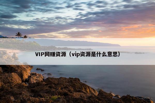 VIP网赚资源（vip资源是什么意思）