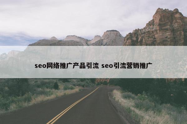 seo网络推广产品引流 seo引流营销推广