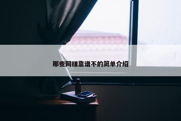 那些网赚靠谱不的简单介绍